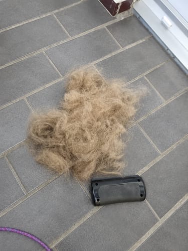 Customer photo review of Tender Puppy™ ShedPro