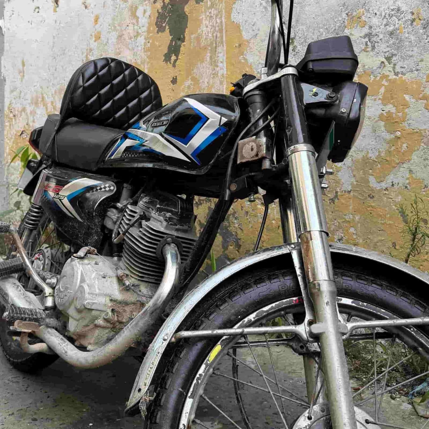 Customer photo review of Bike Back Rest - Comfortable Back Support (Model-Specific)