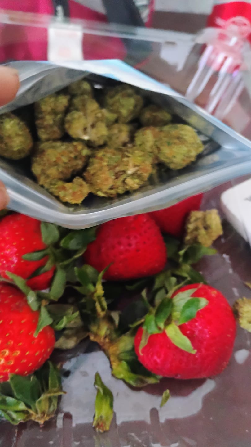 Customer photo review of Strawberry Cough THCA Flower