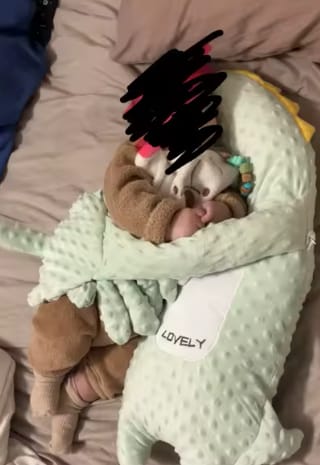 Customer photo review of Dinosaurio Palmaditas