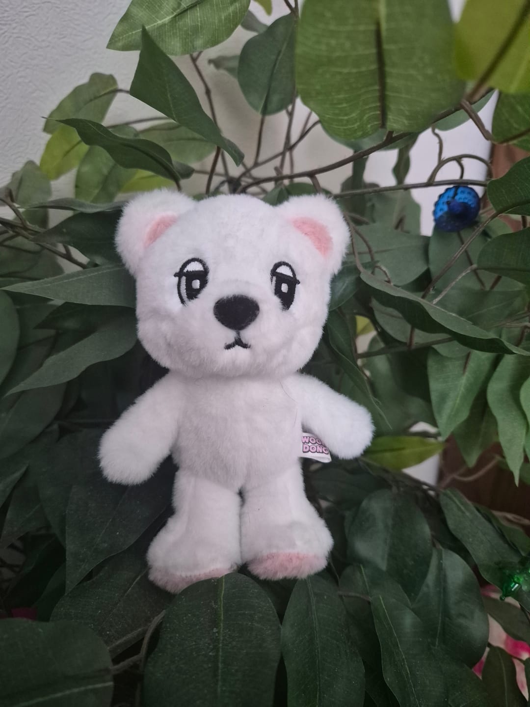 Customer photo review of LEE DONG WOOK [WOOKDONG’s Home Sweet Home] Wookdong Plush Keyring