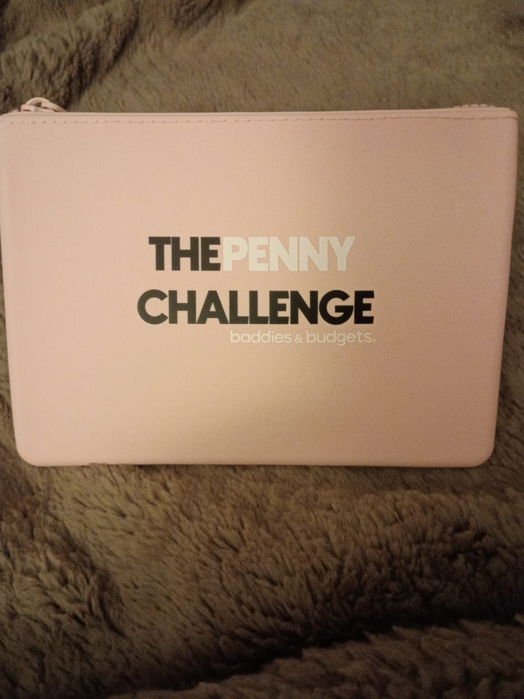 Customer photo review of Penny Challenge