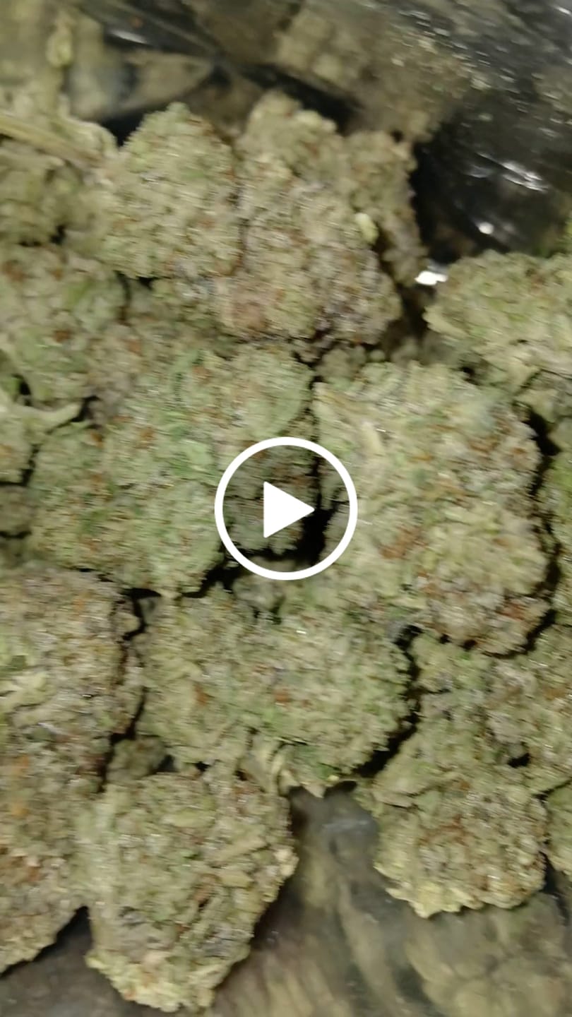 Customer video review of Kinglato THCA Flower