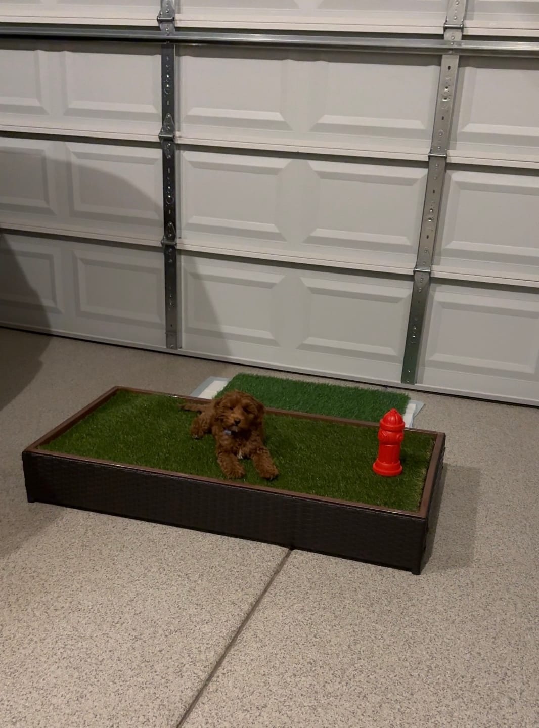 Customer photo review of Porch Potty STANDARD