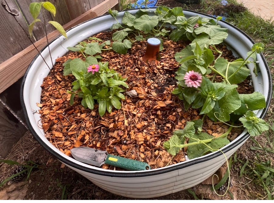 Customer photo review of Oya™ Watering Pot