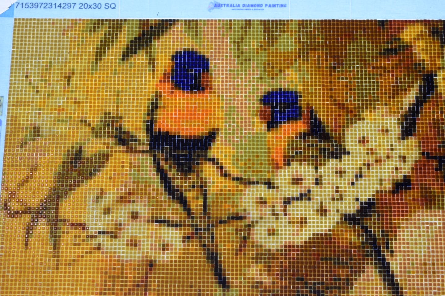 Customer photo review of Full Drill - 5D Diamond Painting Kits Cute Birds on the Flower Blanches