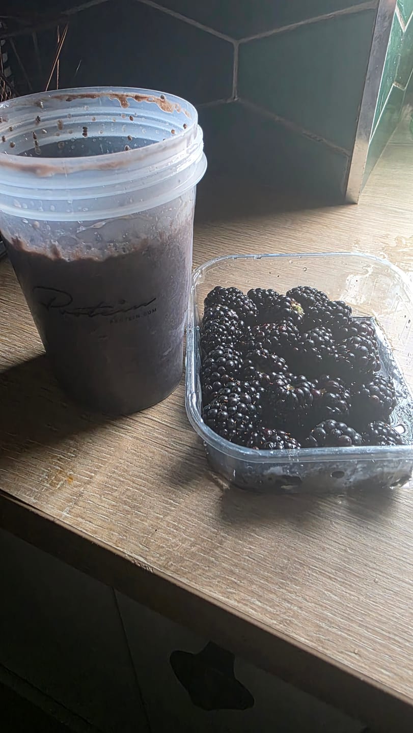 Customer photo review of Slim Meal Replacement | 34 Servings two