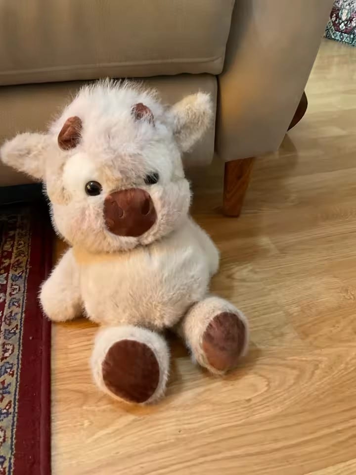 Customer photo review of Running Cow Plush Toy