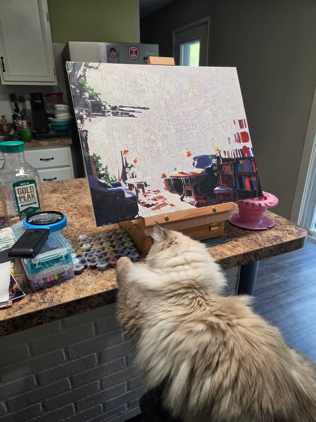 Customer photo review of Bookstore Bliss