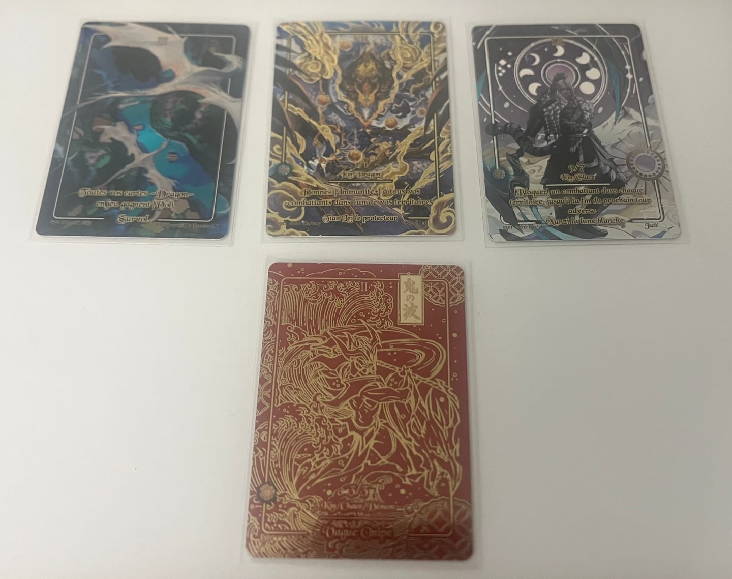 Customer photo review of Display Trois Royaumes