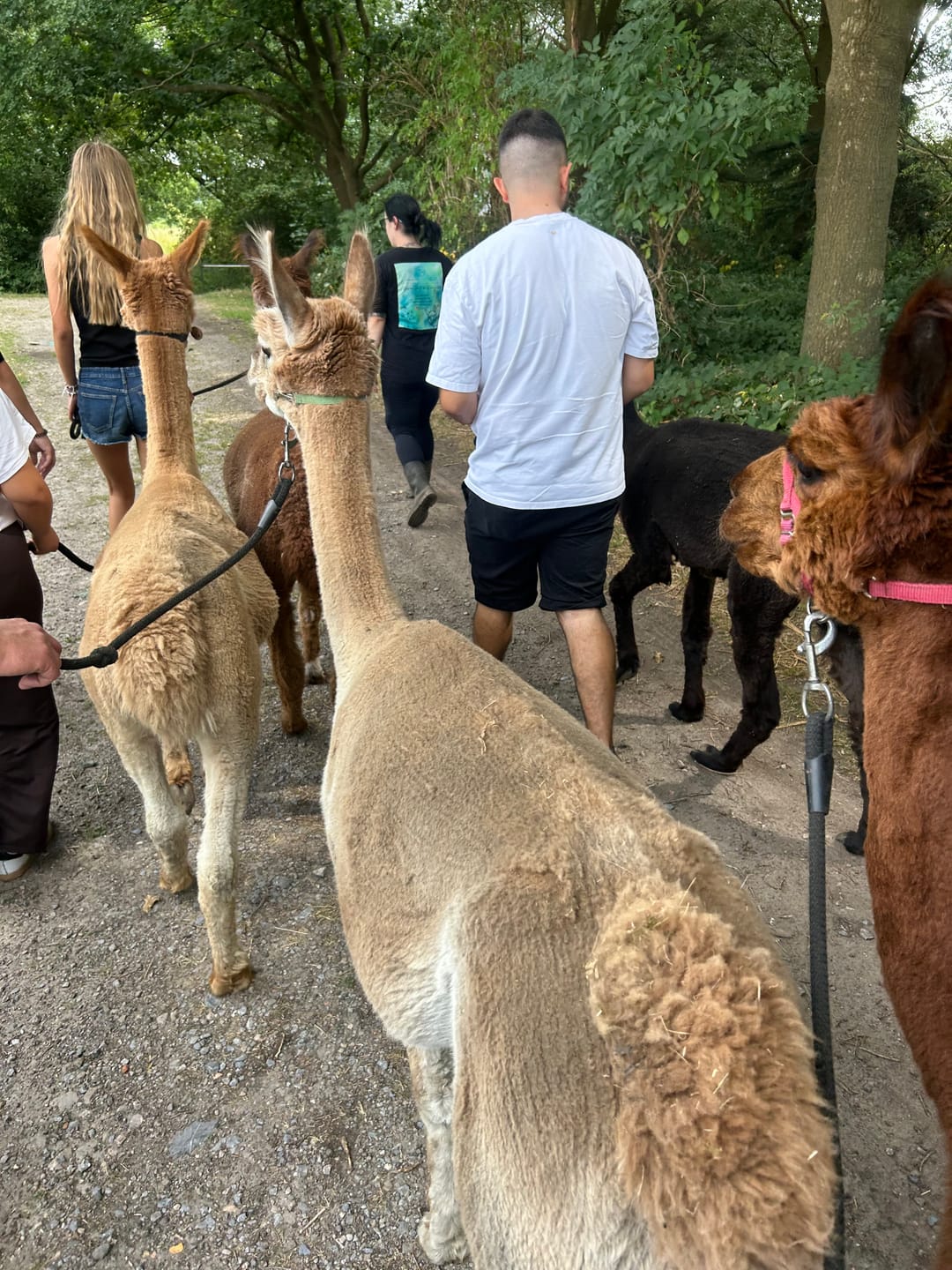 Customer photo review of Wanderungen August 2026