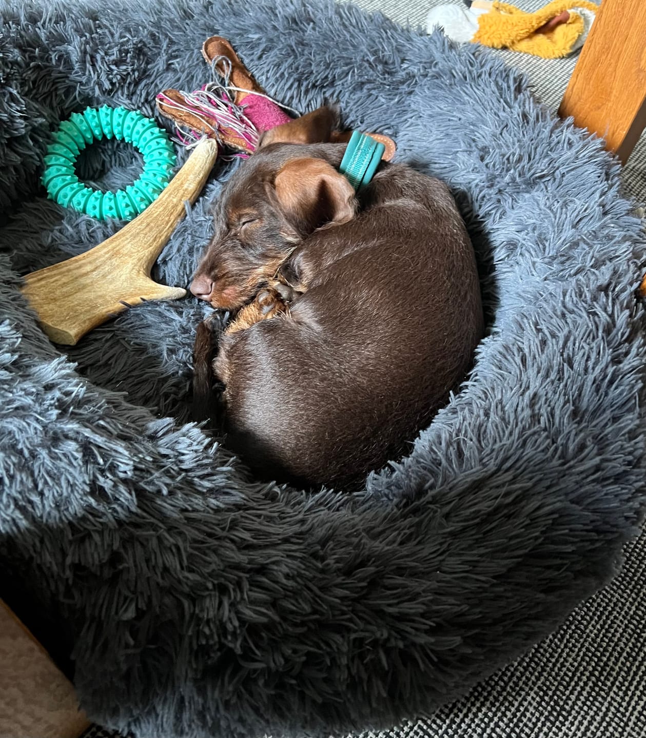 Customer photo review of CalmBed överdrag