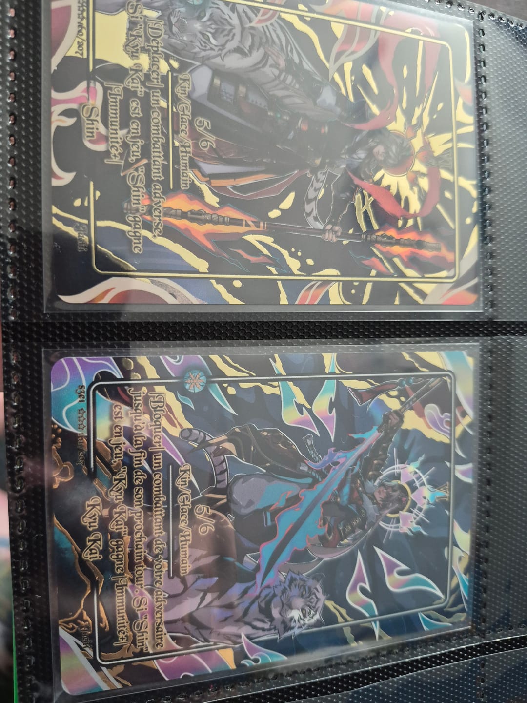 Customer photo review of Display Trois Royaumes