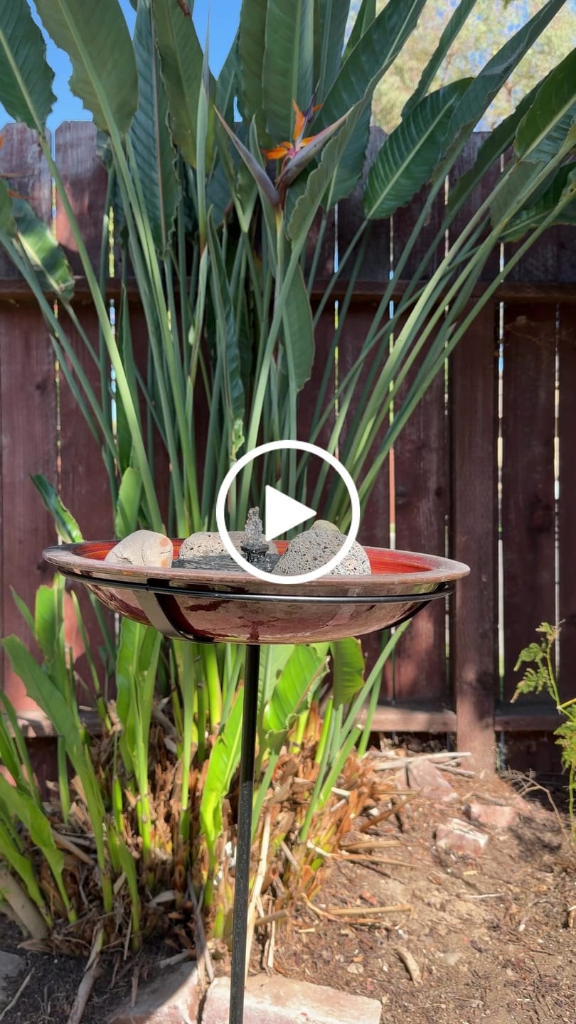 Customer video review of Solar Staked Bird Bath