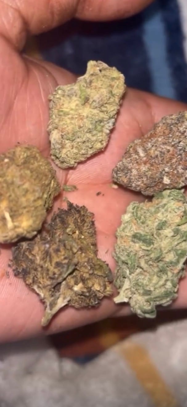 Customer photo review of Bulk THCA Smalls
