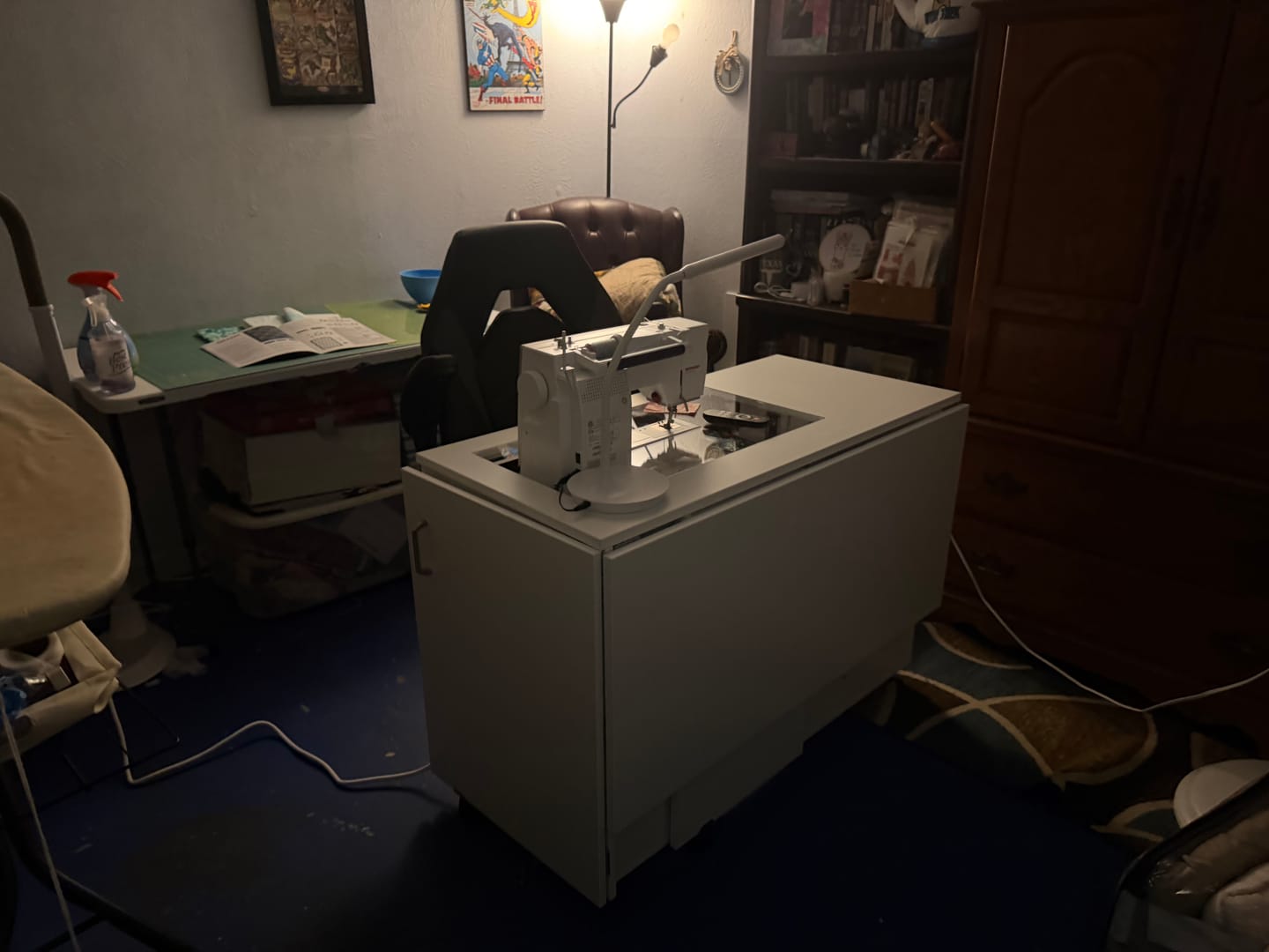 Customer photo review of Horn of America Custom Sewing Machine Insert