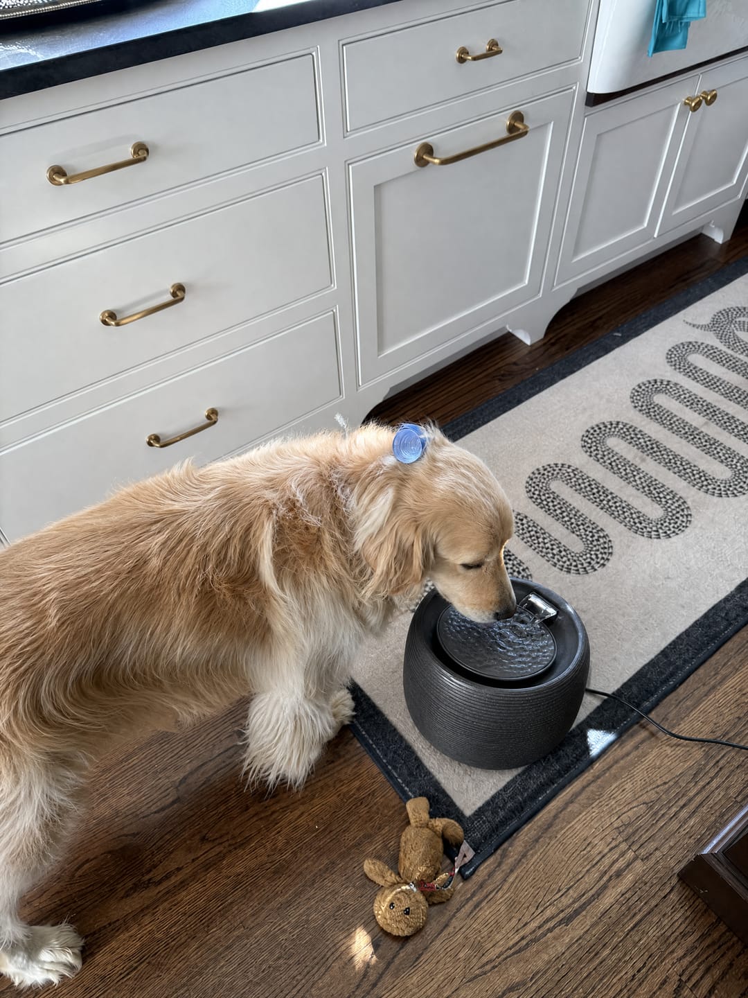 Customer photo review of Smart Water Fountain