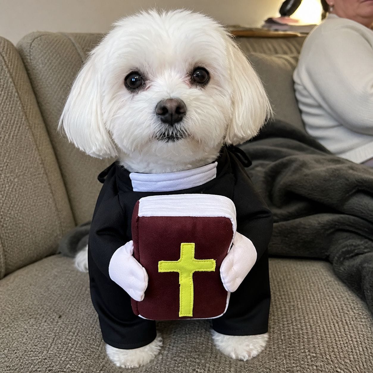 Customer photo review of Blessed Pup Costume