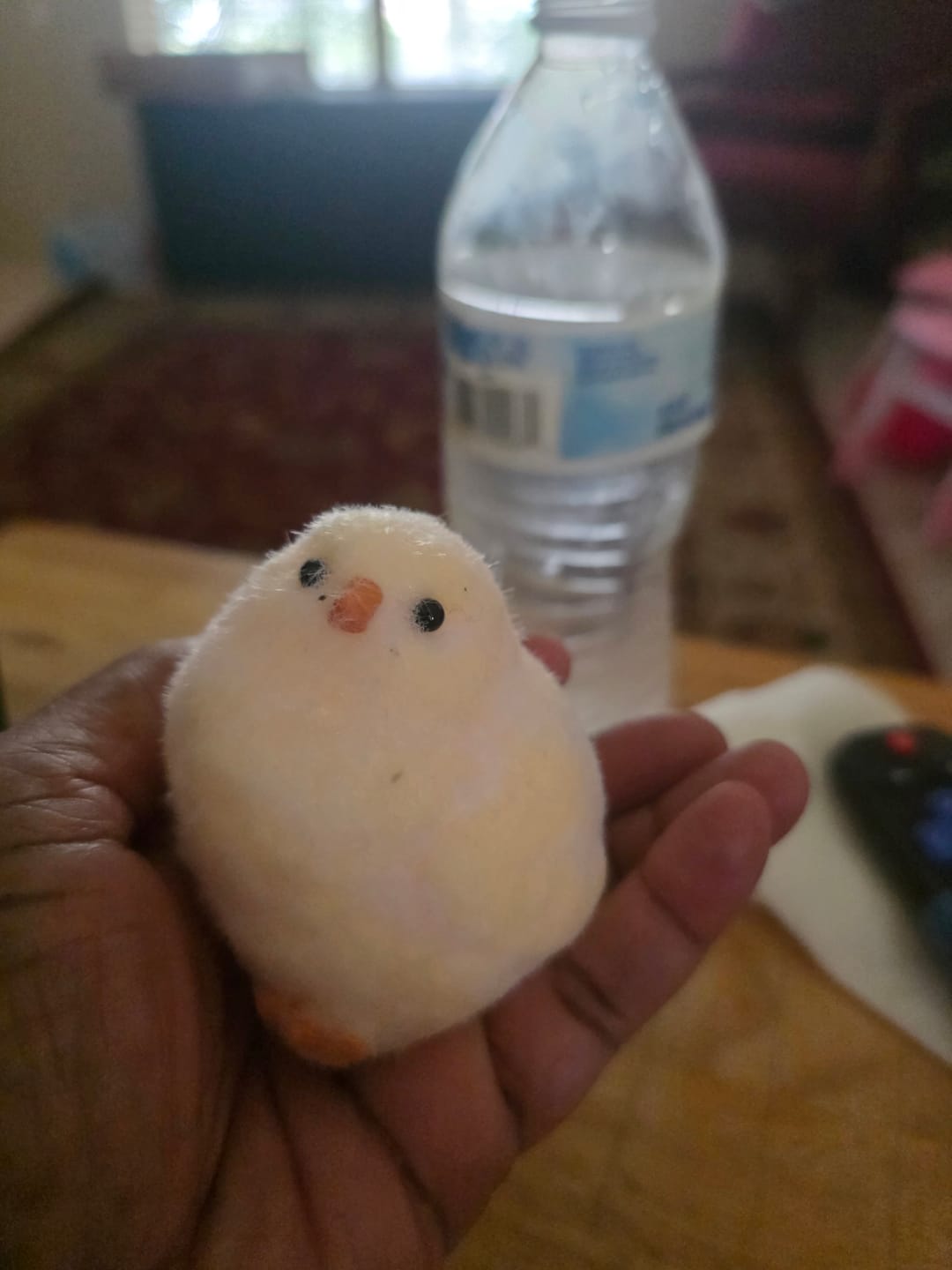 Customer photo review of Chubby Chick Squishy