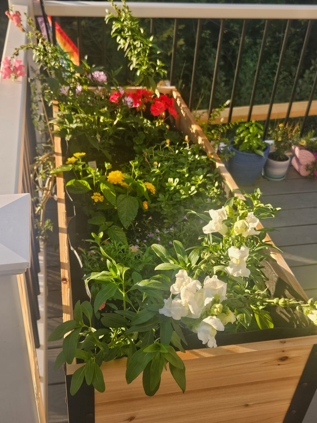 Customer photo review of 18″ x 48″ Deep Root Raised Garden Bed - 30″ TALL - Select Grade