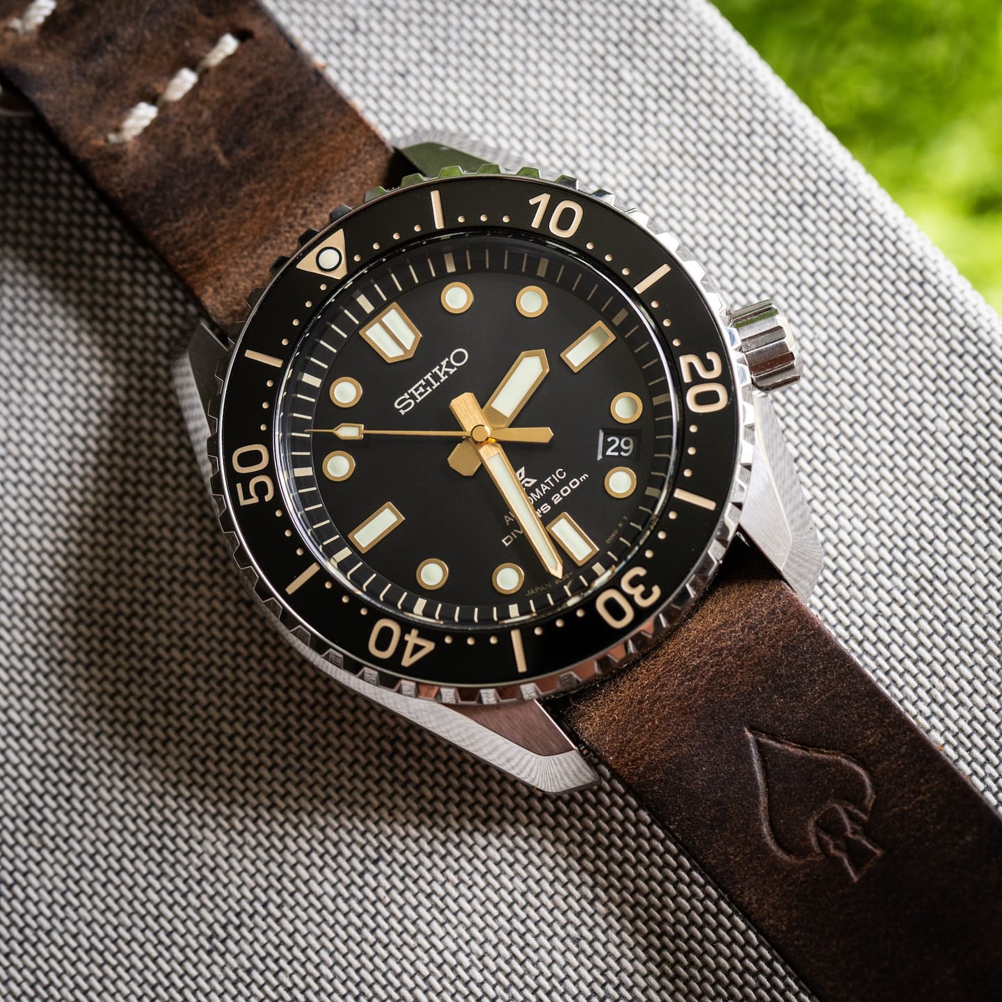 Customer photo review of W.O.E. Leather Single Pass Strap