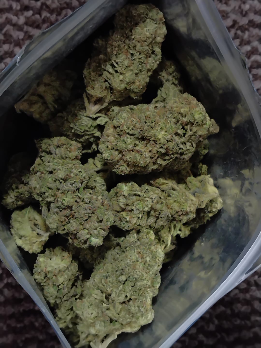 Customer photo review of Blue Crack THCA Flower