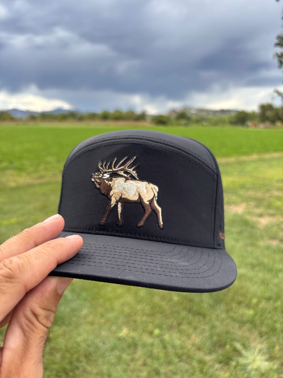 Customer photo review of ShipInsure Package Protection