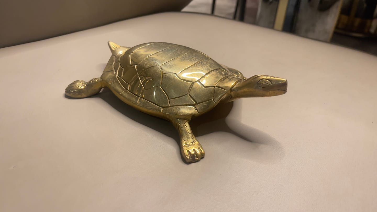 Customer photo review of Pure Brass Tortoise Idol Vastu Remedy for Stability, Protection and Positive Energy | 22 x 12 cm | 1.05kg