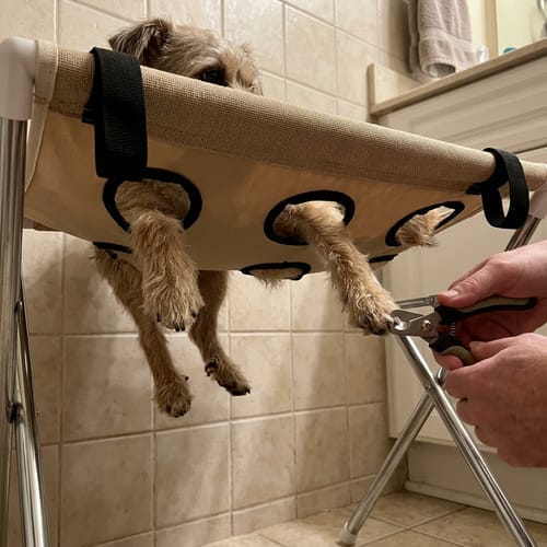 Customer photo review of Mufflo Grooming Hammock