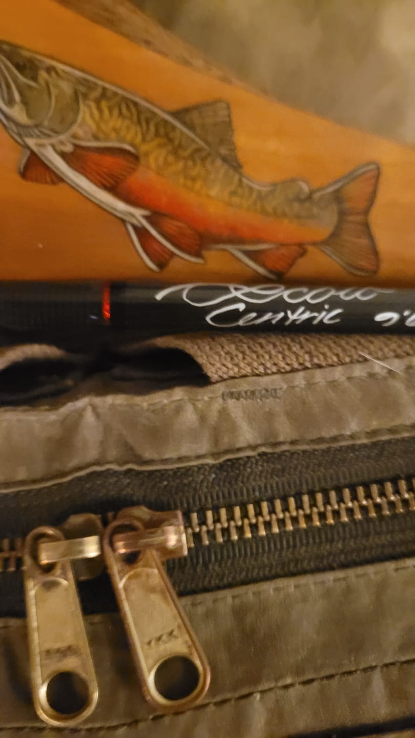 Customer photo review of Scott Centric Fly Rod