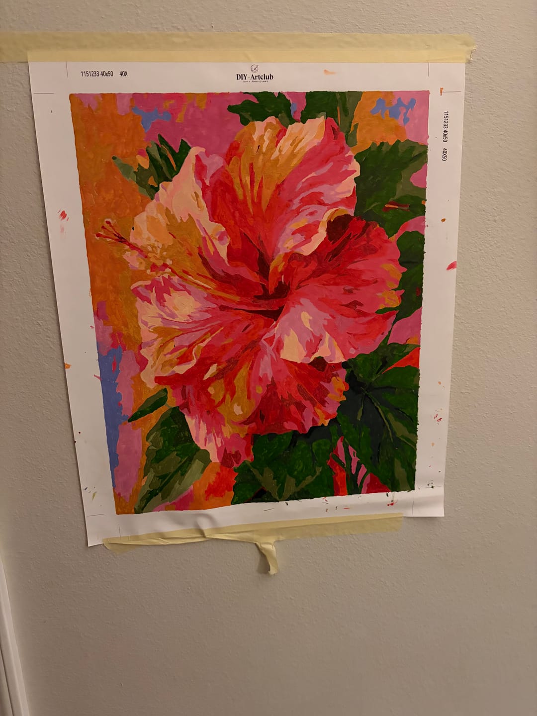 Customer photo review of Colorful Hibiscus | Paint by Number