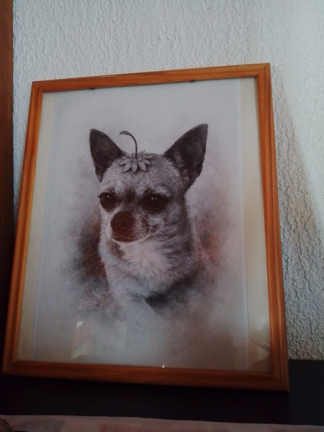 Customer photo review of Charcoal - Poster personnalisé