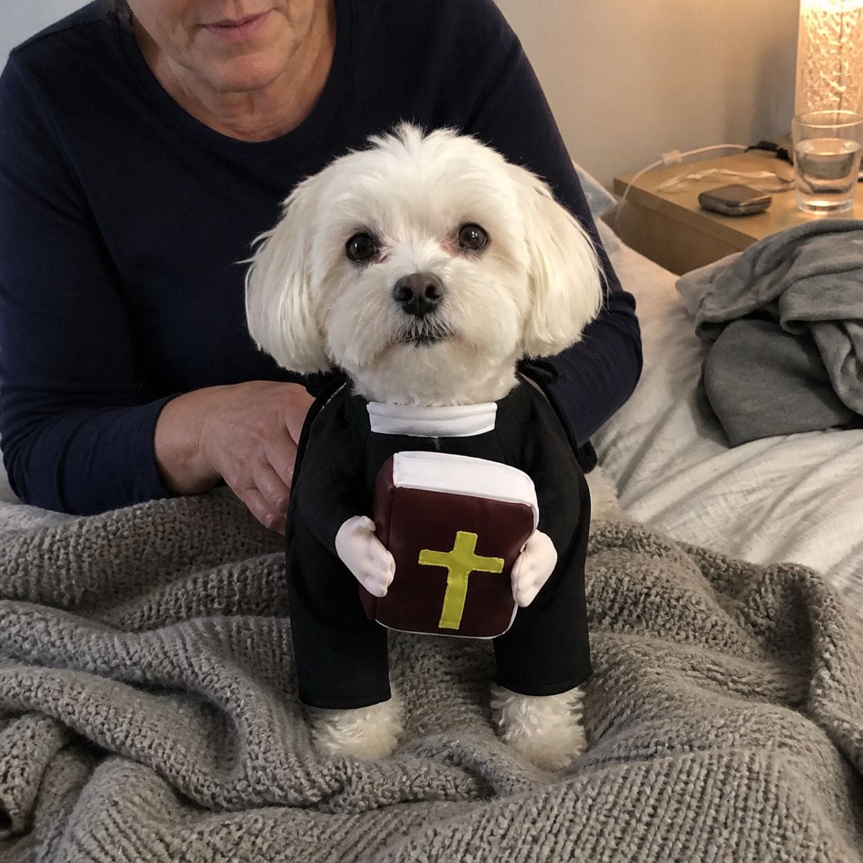 Customer photo review of Blessed Pup Costume