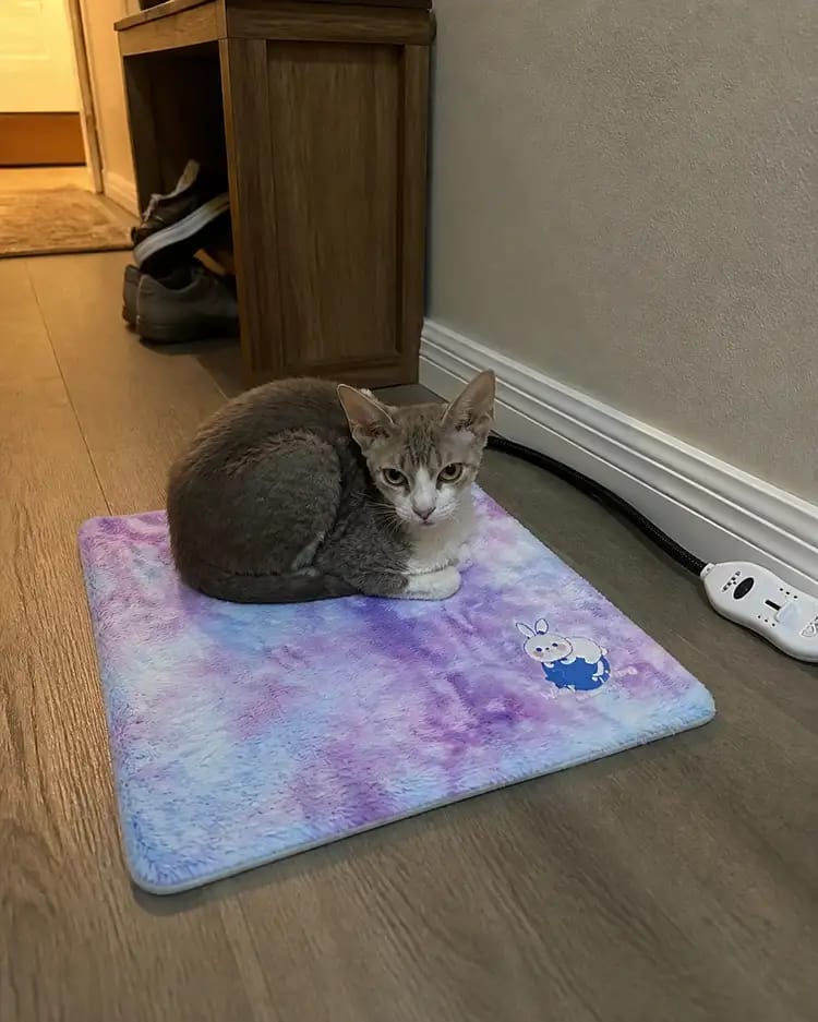 Customer photo review of CozyGlow Adjustable Pet Heating Pad