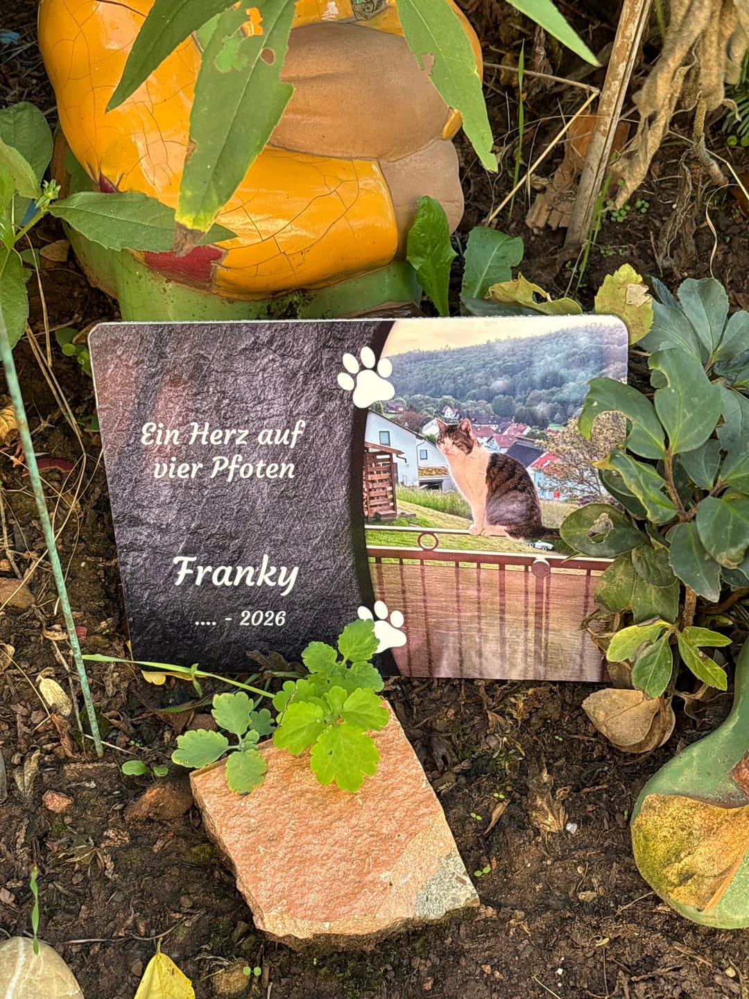 Customer photo review of Hunde Gedenktafel mit Foto & Spruch (UV- &  Wetterfest)