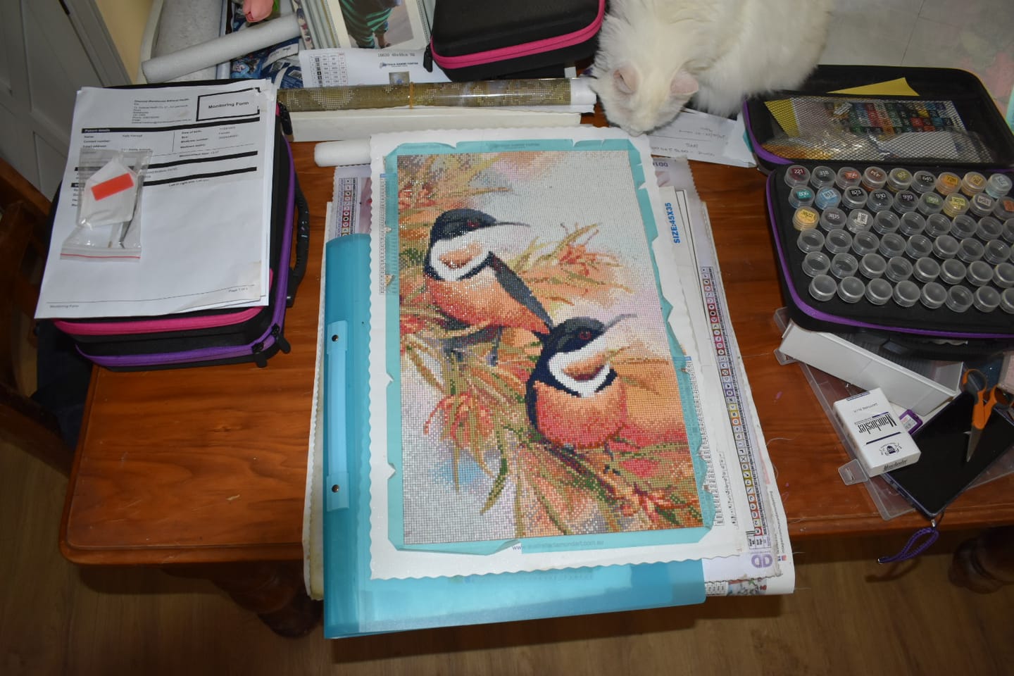 Customer photo review of Eastern Spinebills - Full Drill Diamond Painting Kit
