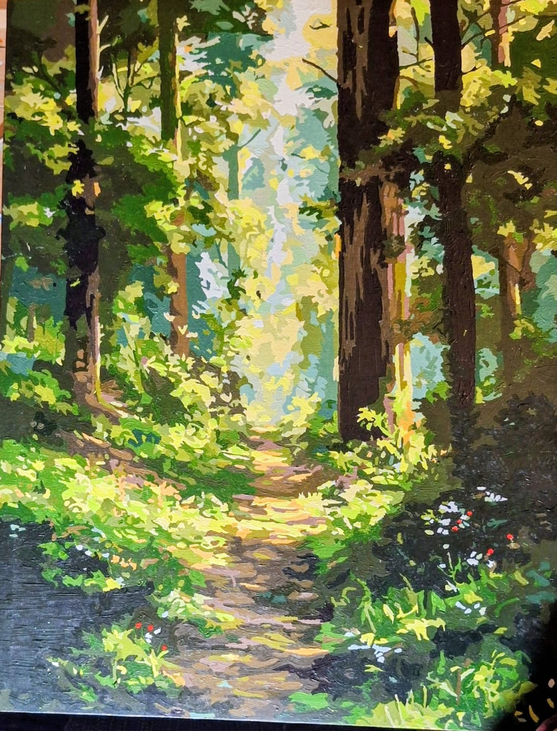 Customer photo review of Sunlit Forest