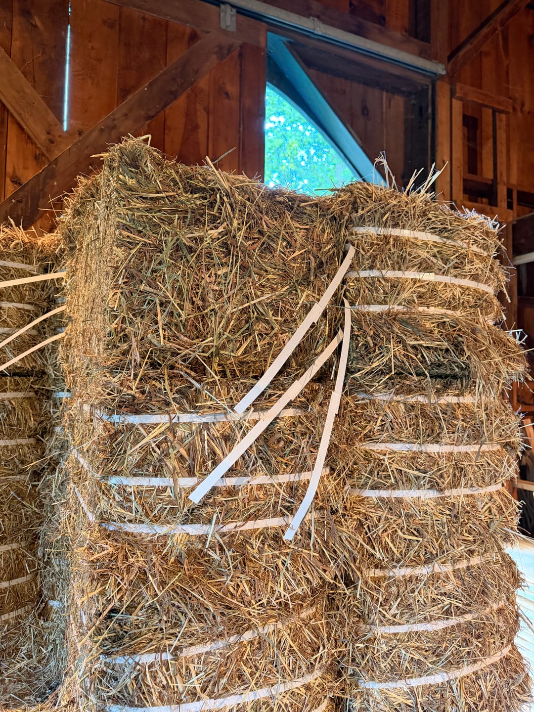Customer photo review of 2nd Cutting (2026 Crop) NY Timothy Orchard Grass Hay (Buy More - Save More)(Includes delivery too!)
