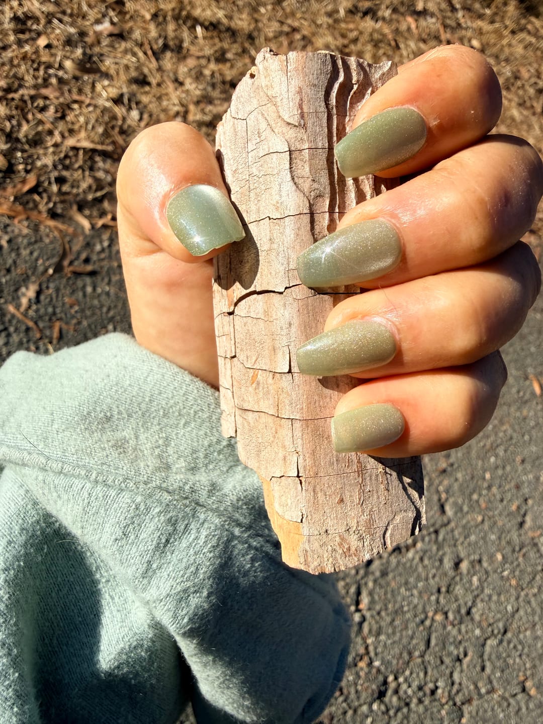 Customer photo review of Fruit Cat Eye Press On Nails – Handmade Magnetic Velvet – 5 Colors
