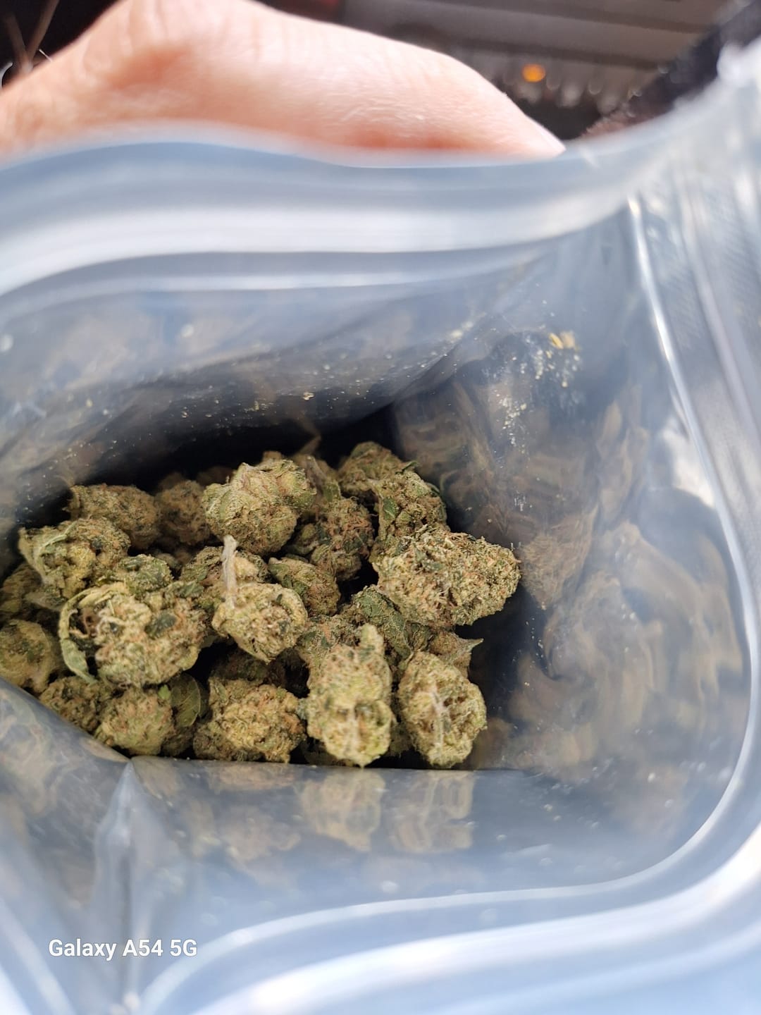 Customer photo review of Biscotti THCA Flower (Budget)