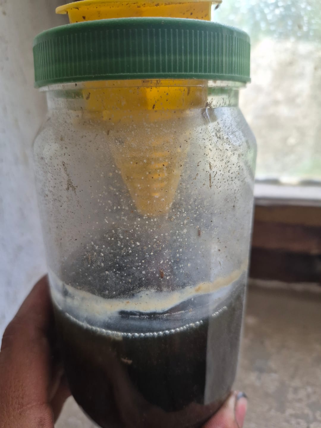 Customer photo review of HorseSafe LiquidTrap – Schluss mit Fliegenstress auf deinem Hof