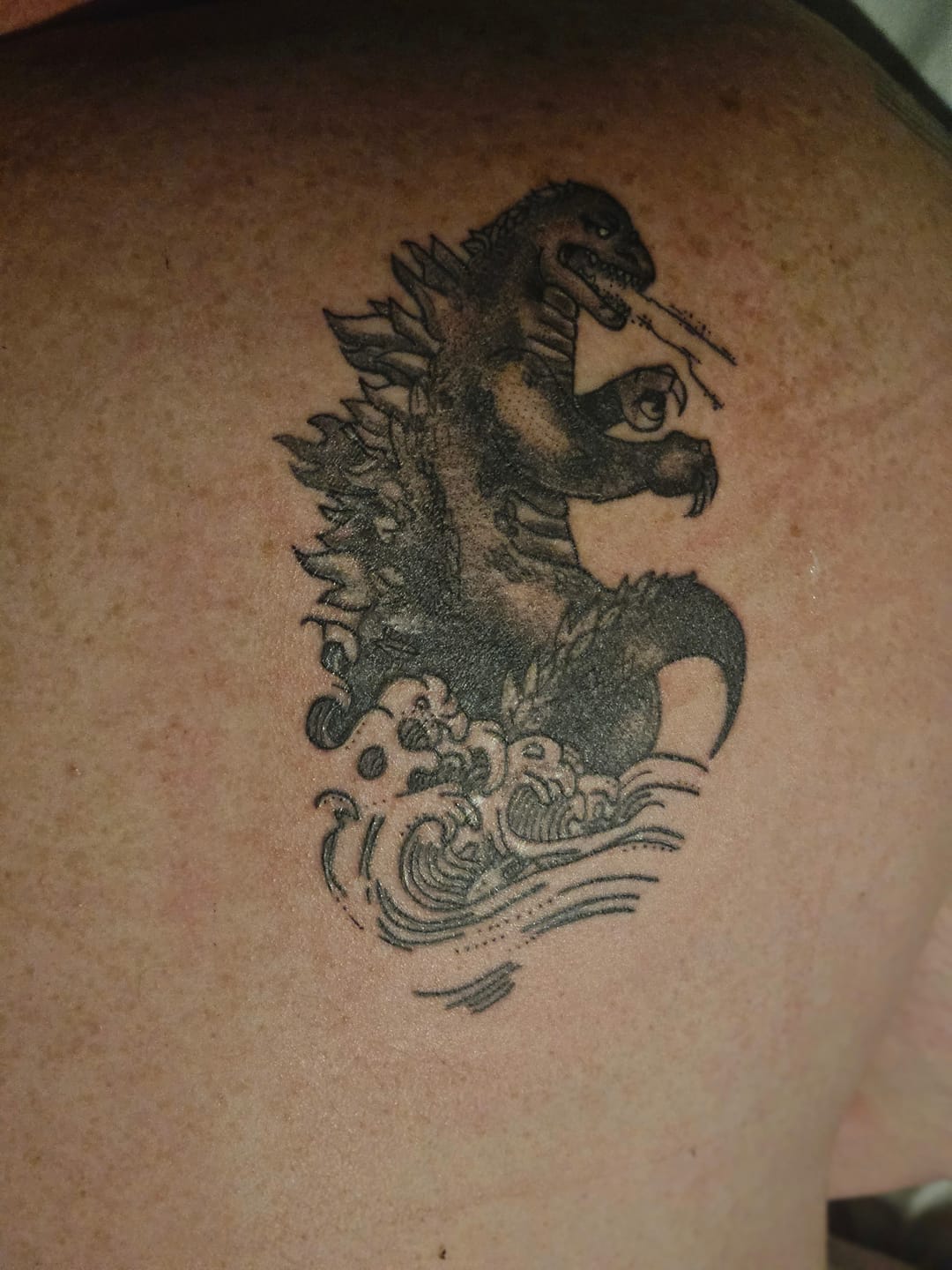 Customer photo review of Shipping Protection