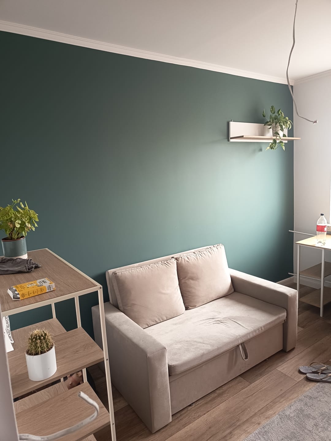 Customer photo review of Sofa NEO BP velvet