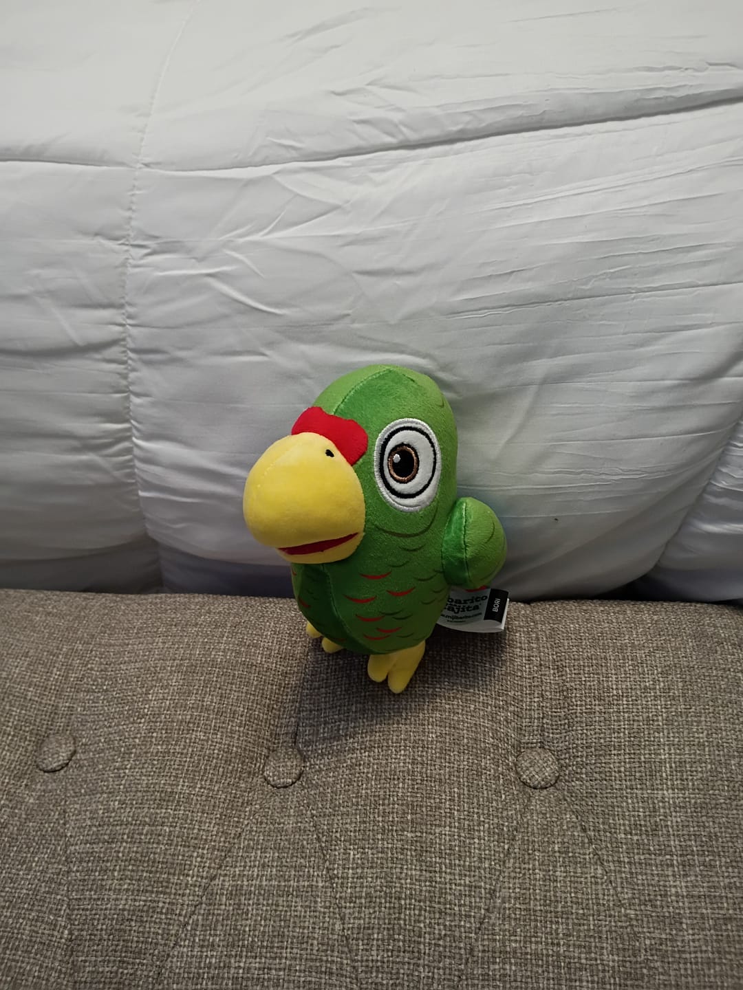 Customer photo review of Bori La Cotorra | Peluche con Sonido
