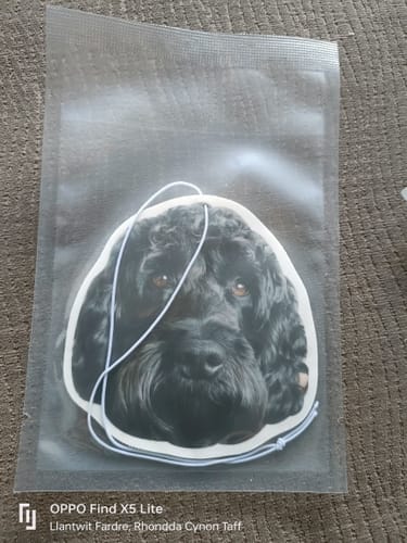 Customer photo review of Personalized Custom Shape Car Air Freshener With Your Photo