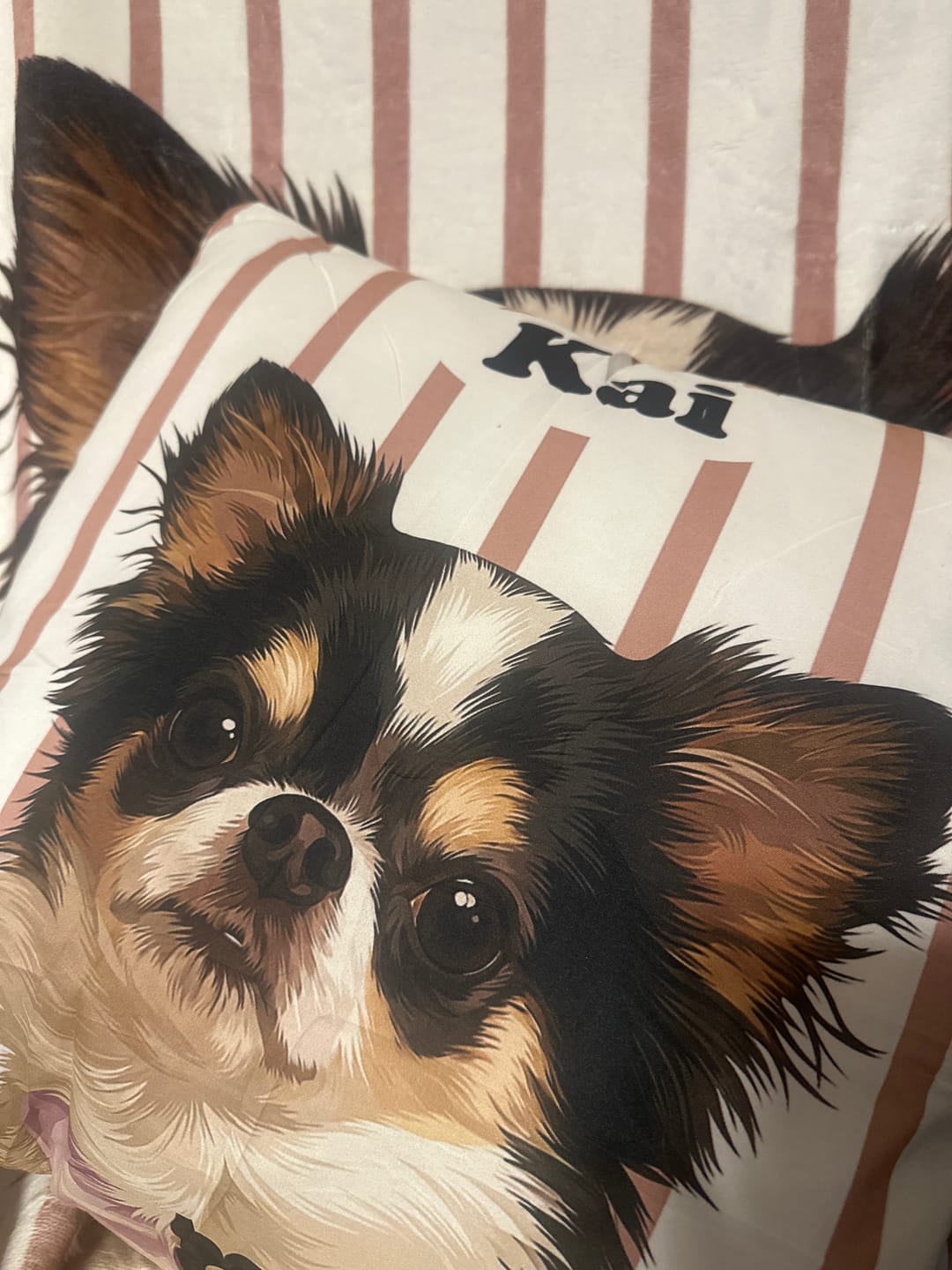 Customer photo review of Petcanva® 品質補償サービス