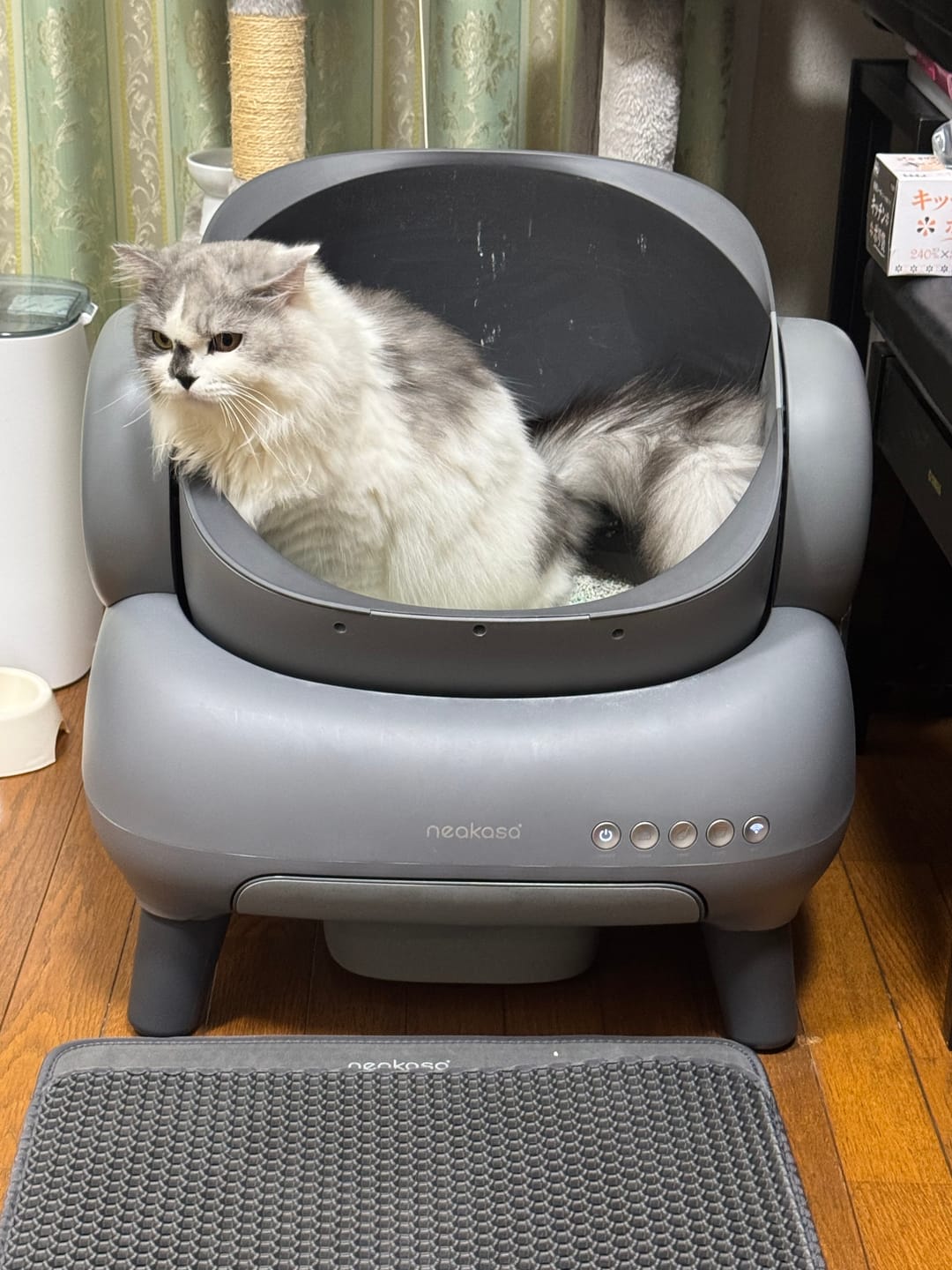 Customer photo review of Neakasa M1 Plus オープン型全自動猫トイレ