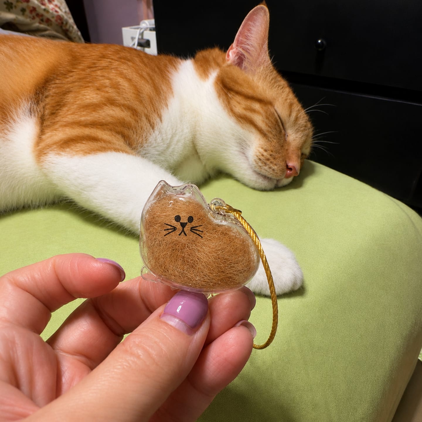 Customer photo review of Llavero para guardar pelo de mascota