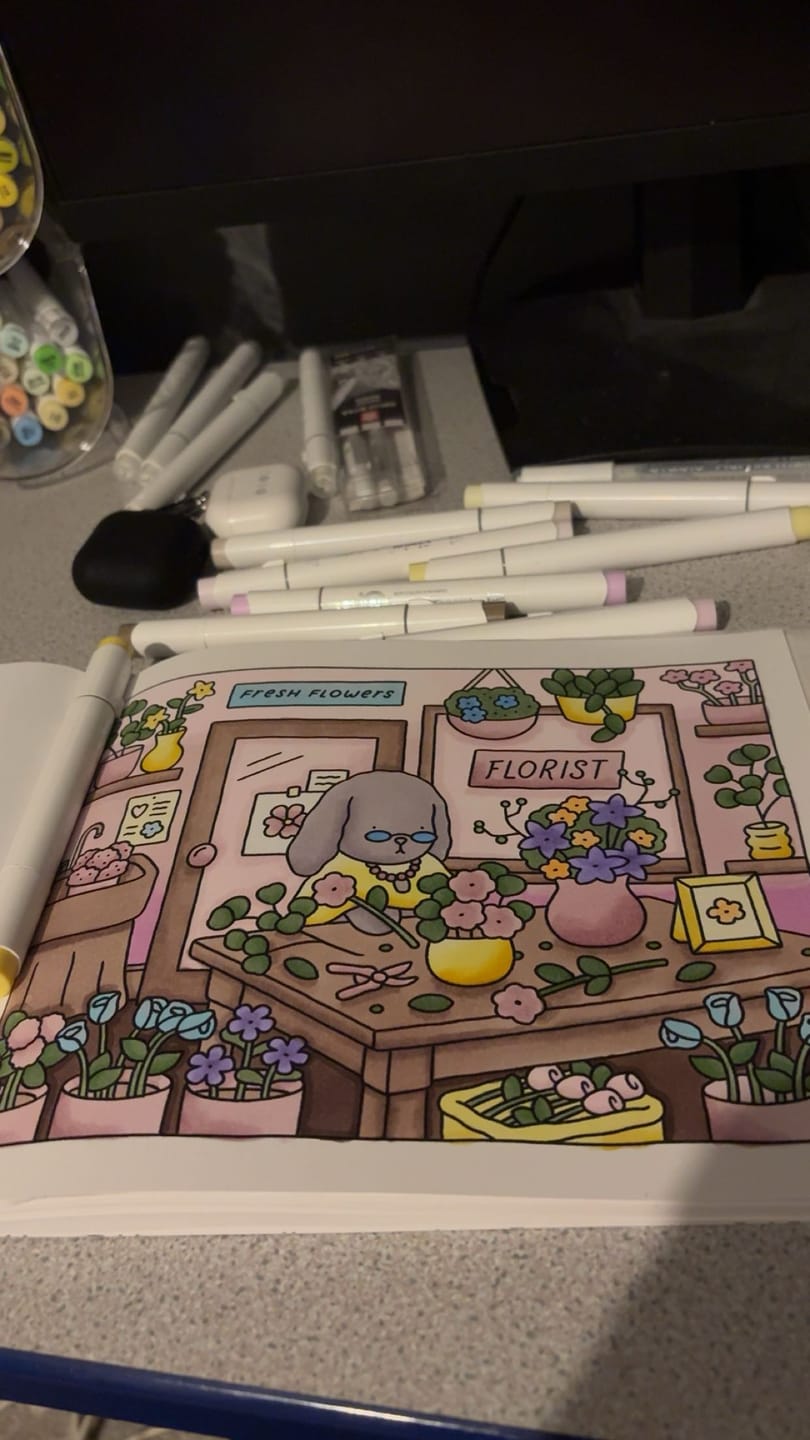 Customer photo review of Ohuhu Honolulu 48 Mid-tone Colors Dual Tips Alcohol Art Markers (New Color Codes)