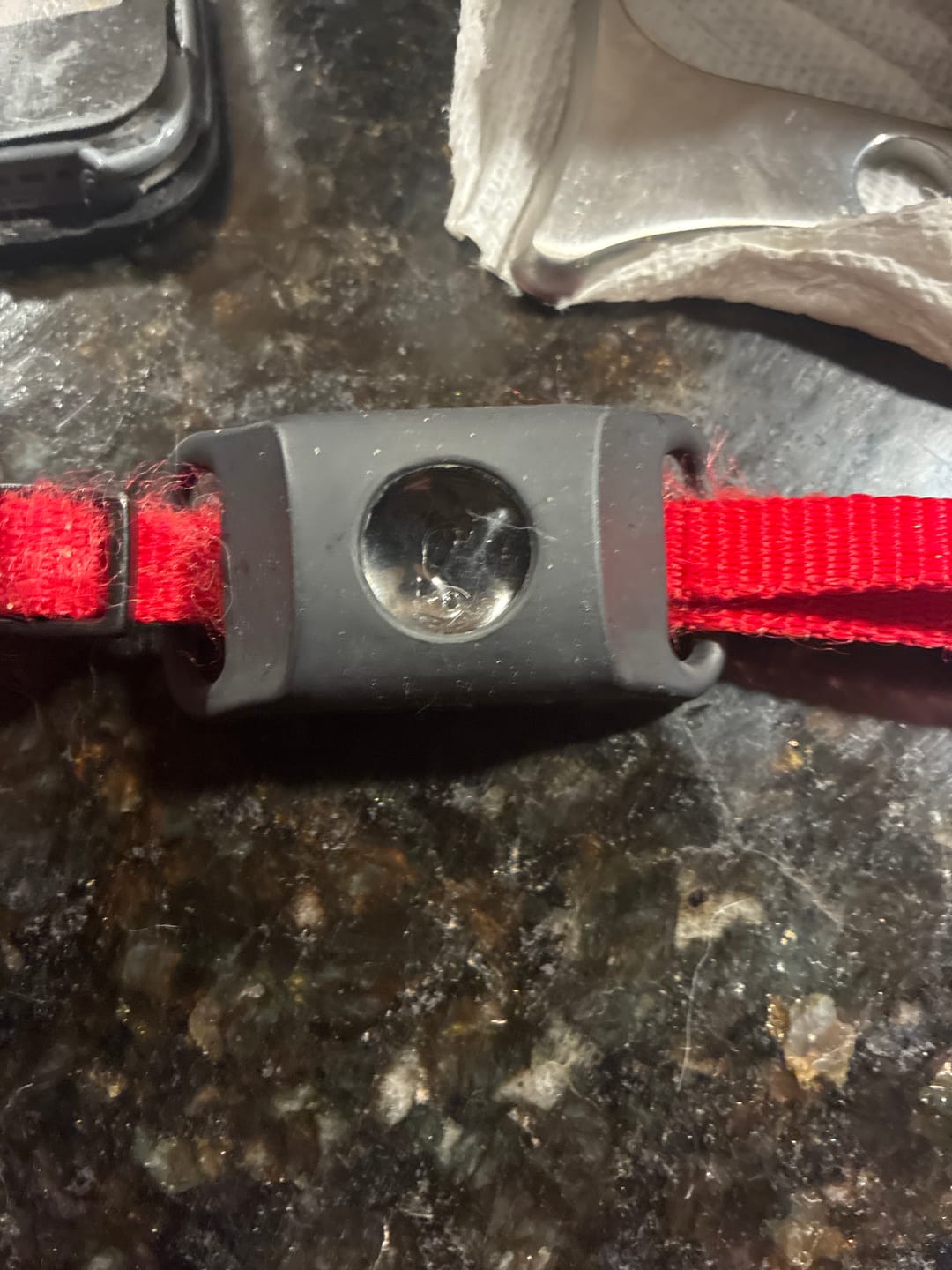 Customer photo review of FurLife™ - 12 Months All Natural Flea and Tick Tags for Cats